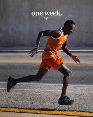 Image post by @texastfxc on Instagram
