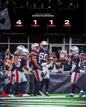 Image post by @patriots on Instagram