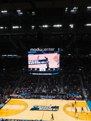 Image post by @moda_center on Instagram