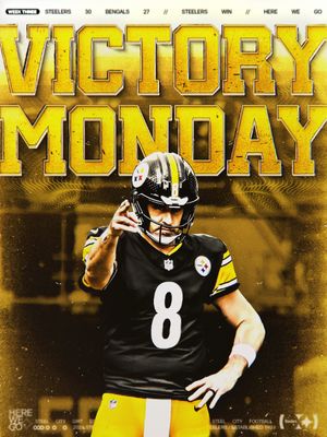 Image post by @steelers on Instagram