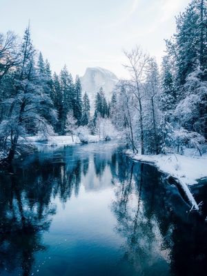 Image post by @moment on Instagram