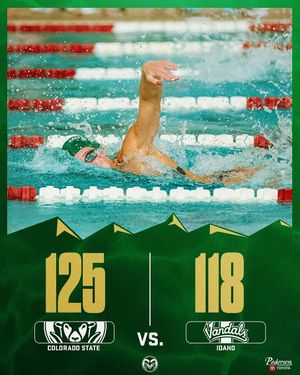 Image post by @csuswimdive on Instagram