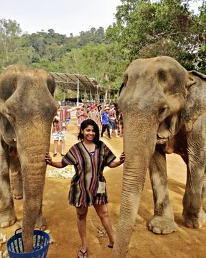 Image post by @explorewithreshma on Instagram