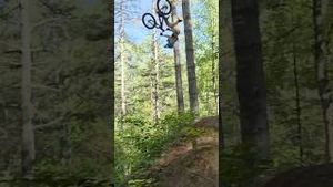 Video post by @nitrocircus on YouTube