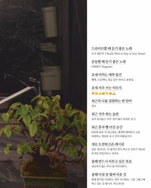 Image post by @harpersbazaarkorea on Instagram