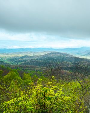 Image post by @wandernorthga on Instagram
