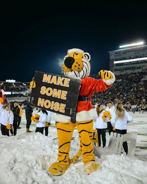 Image post by @trumanthetiger_mu on Instagram