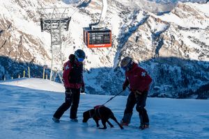Image post by @snowbird on Instagram