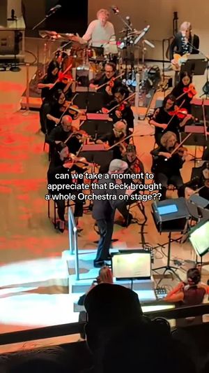 Video post by @beckvault on TikTok