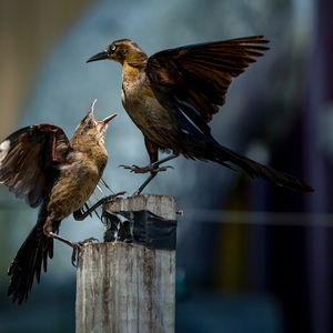 Image post by @statesman on Instagram