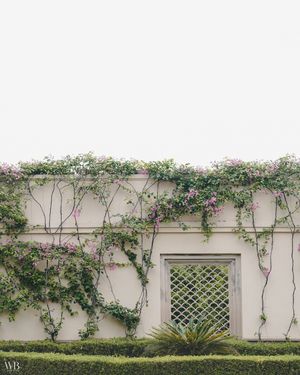 Image post by @weddingsbybazilsunny on Instagram