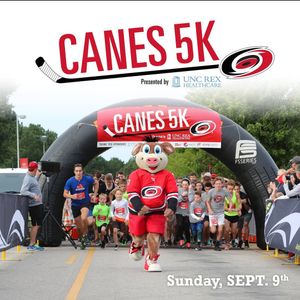 Image post by @canes on Instagram