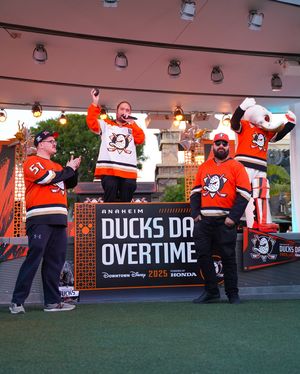 Image post by @anaheimducks on Instagram