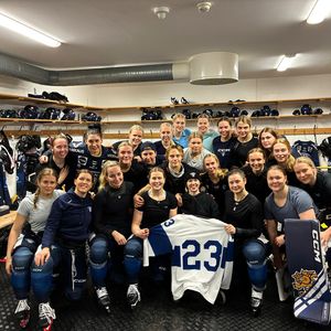 Image post by @leijonatfi on Instagram
