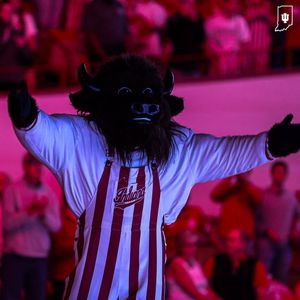 Image post by @hoosierthebison on Instagram