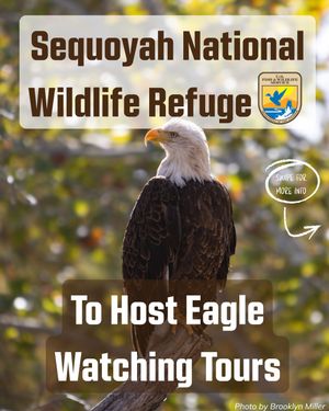 Image post by @okwildlifedept on Instagram
