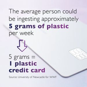 Image post by @OI_Glass on Twitter