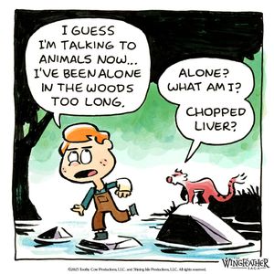 Image post by @wingfeathersaga on Instagram