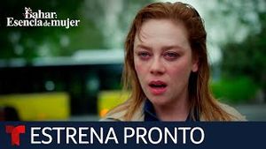 Video post by @telemundo on YouTube