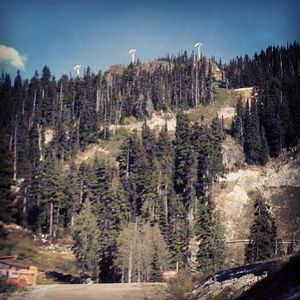 Image post by @whistlerblackcomb on Instagram
