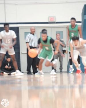 Image post by @tenleytigersdchoops on Instagram