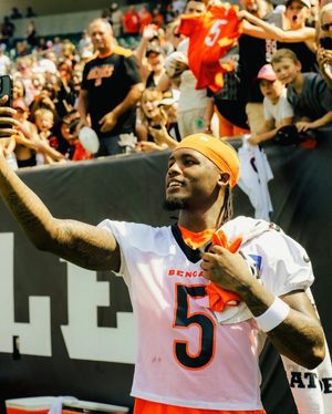 Image post by @teehiggins on Instagram