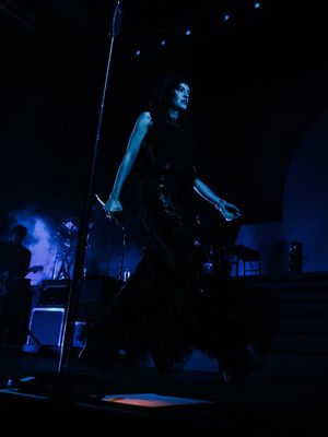 Image post by @thesolections on Instagram