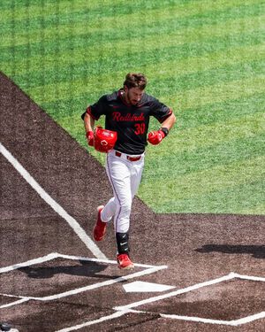 Image post by @isuredbirdbaseball on Instagram