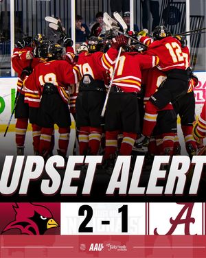 Image post by @aau_collegehockey on Instagram