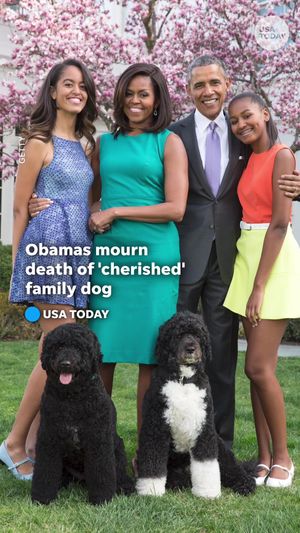 Video post by @usatoday on TikTok