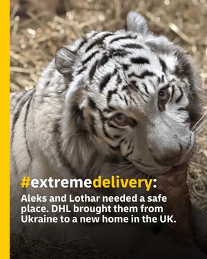 Image post by @dhl_global on Instagram