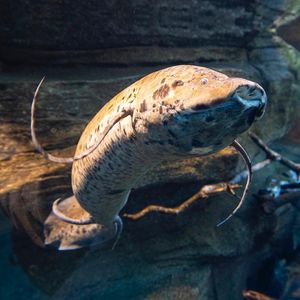 Image post by @sandiegozoo on Instagram