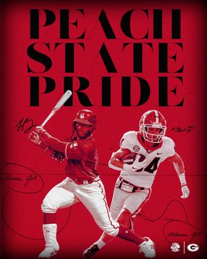 Image post by @TheRomeBraves on Twitter