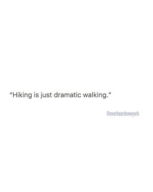 Image post by @overheardnewyork on Instagram