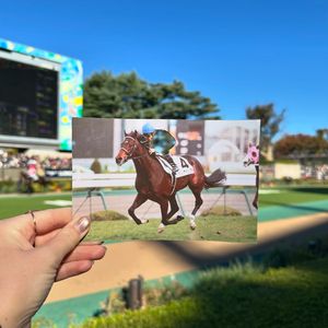 Image post by @worldhorseracing on Instagram