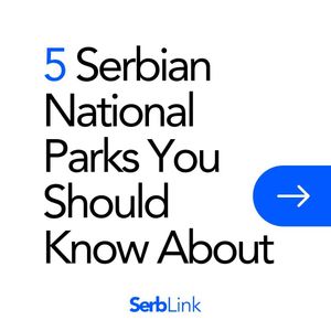 Image post by @serb.link on Instagram