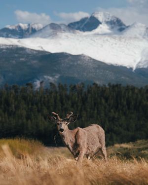 Image post by @kyle_petersen21 on Instagram