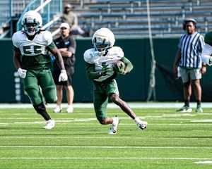 Image post by @greenwavefb on Instagram