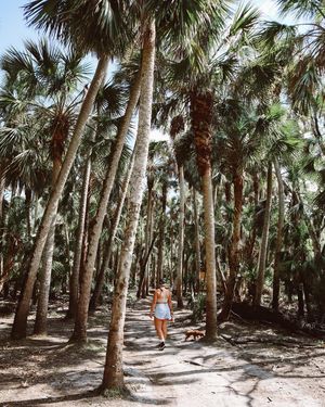Image post by @visitsarasotacounty on Instagram