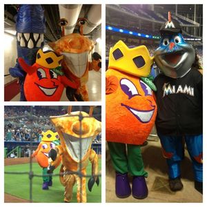 Image post by @orangebowl on Instagram
