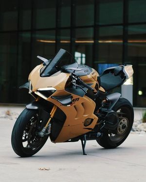 Image post by @panigalers on Instagram