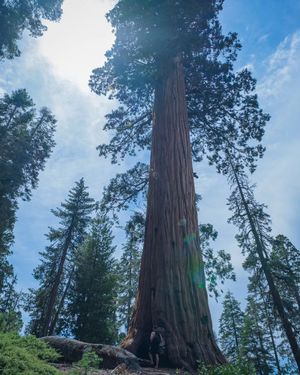 Image post by @nationalparkscollective on Instagram