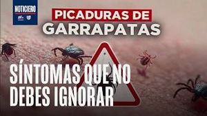 Video post by @nmasunivision on YouTube
