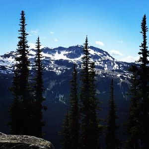 Image post by @whistlerblackcomb on Instagram