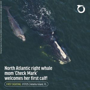 Image post by @oceana on Instagram