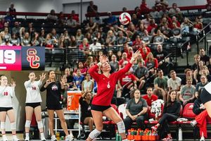 Image post by @ohiostatewvb on Instagram