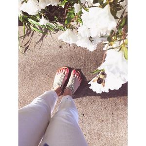 Image post by @catcatoura on Instagram