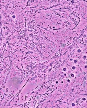 Image post by @biohub on Instagram