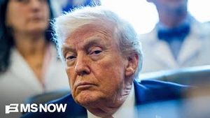 Video post by @msnbc on YouTube