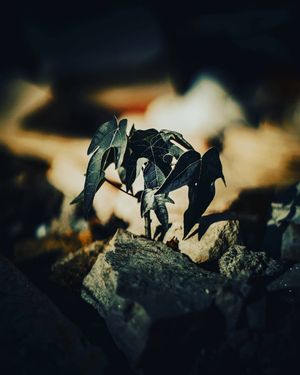 Image post by @chrisbolt on Instagram